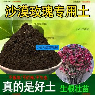 沙漠玫瑰专用土养花盆栽土沙漠玫瑰营养土种植土肥料微酸性土壤