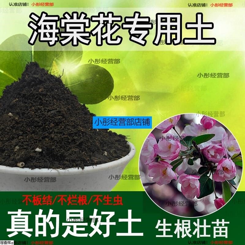 海棠花专用土海棠花专用营养土盆栽养花种花土通用型种植土壤肥料