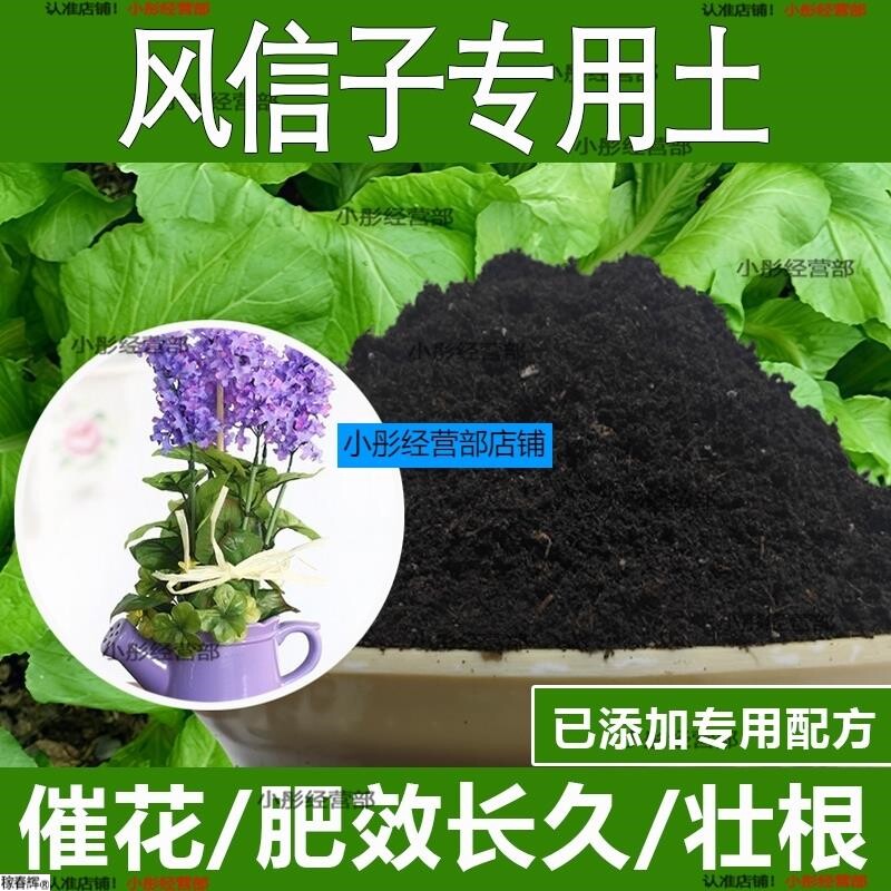 风信子专用土风信子专用营养土酸性土种植土通用土有机土肥料土壤
