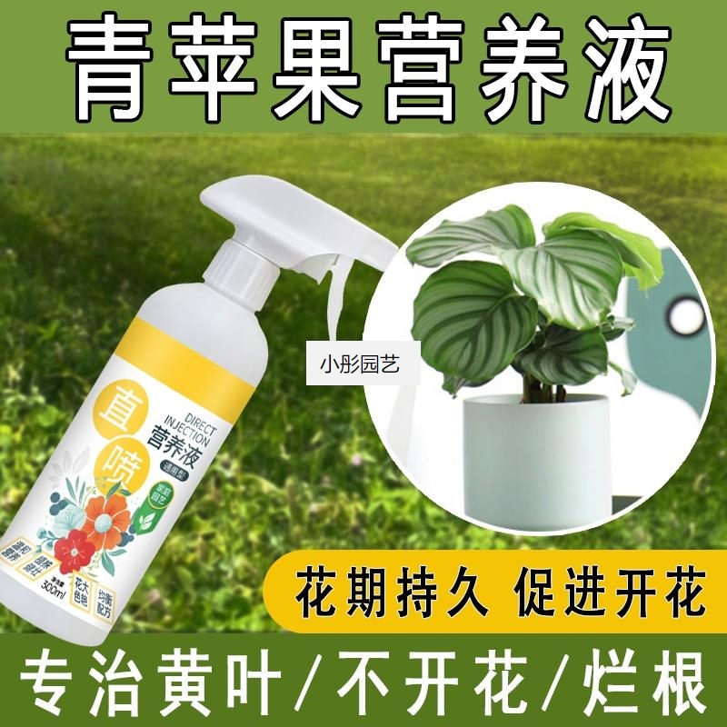 营养液免稀释青苹果专用营养液植物营养液花卉绿植叶面肥料通用型