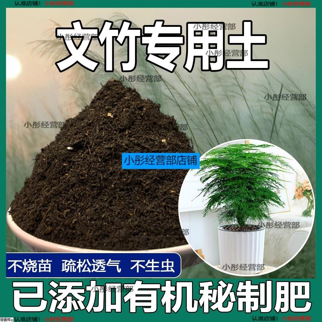 文竹专用土云竹专用营养土养花种花土通用种植土有机土壤有机肥料