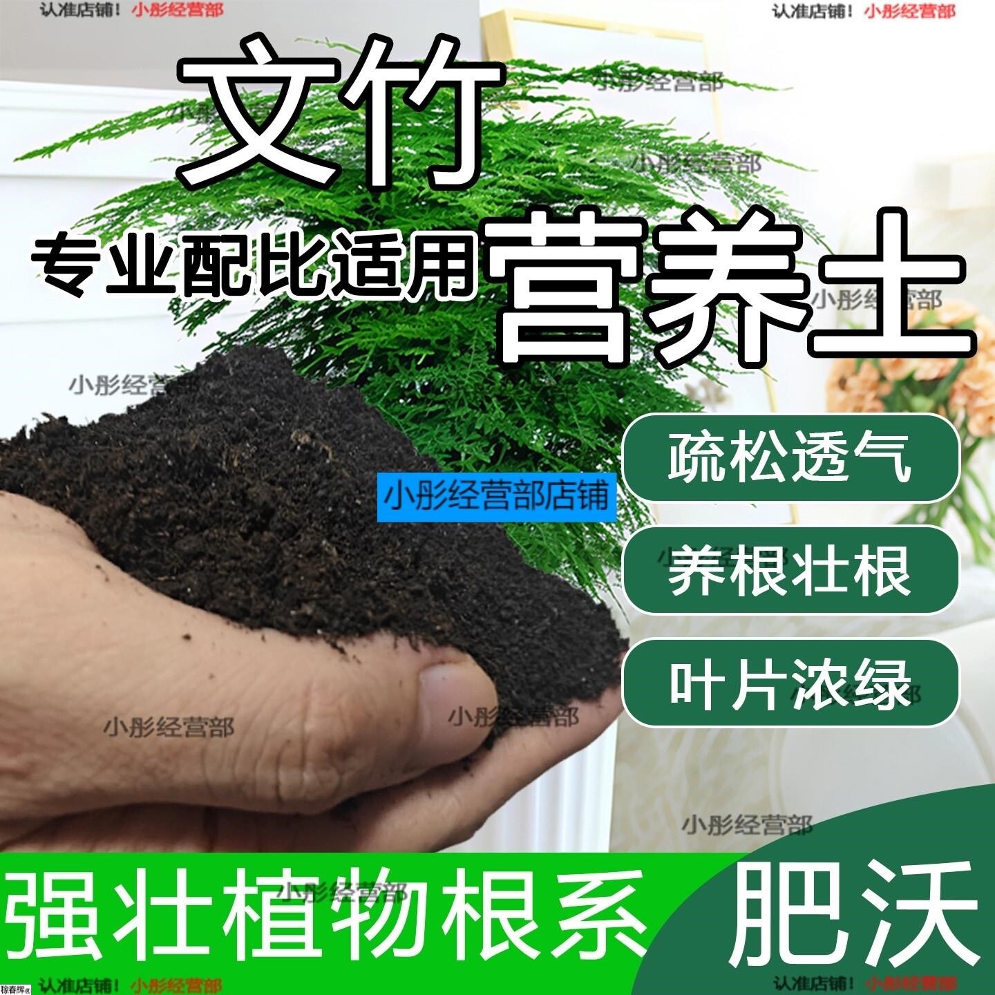 文竹专用土云竹专用营养土养花种花土通用种植土有机土壤有机肥料
