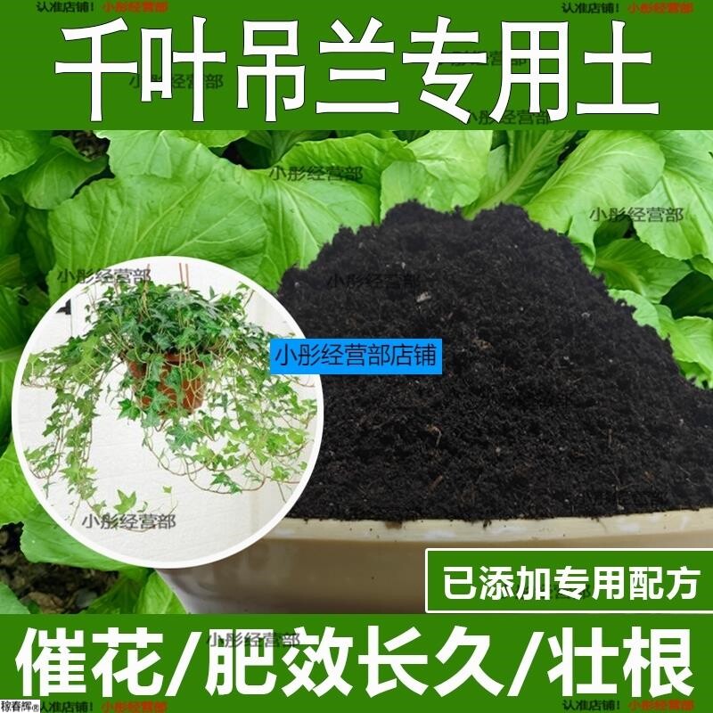 千叶吊兰专用土千叶吊兰专用营养土酸性土种植土通用土有机土肥料
