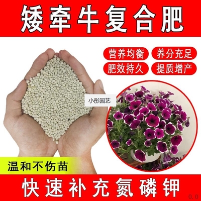矮牵牛复合肥养花专用氮钾缓释肥有机肥颗粒化肥促花花卉通用型