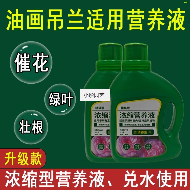 油画吊兰营养液通用型万能营养液花肥绿植水培营养液植物肥料黄叶