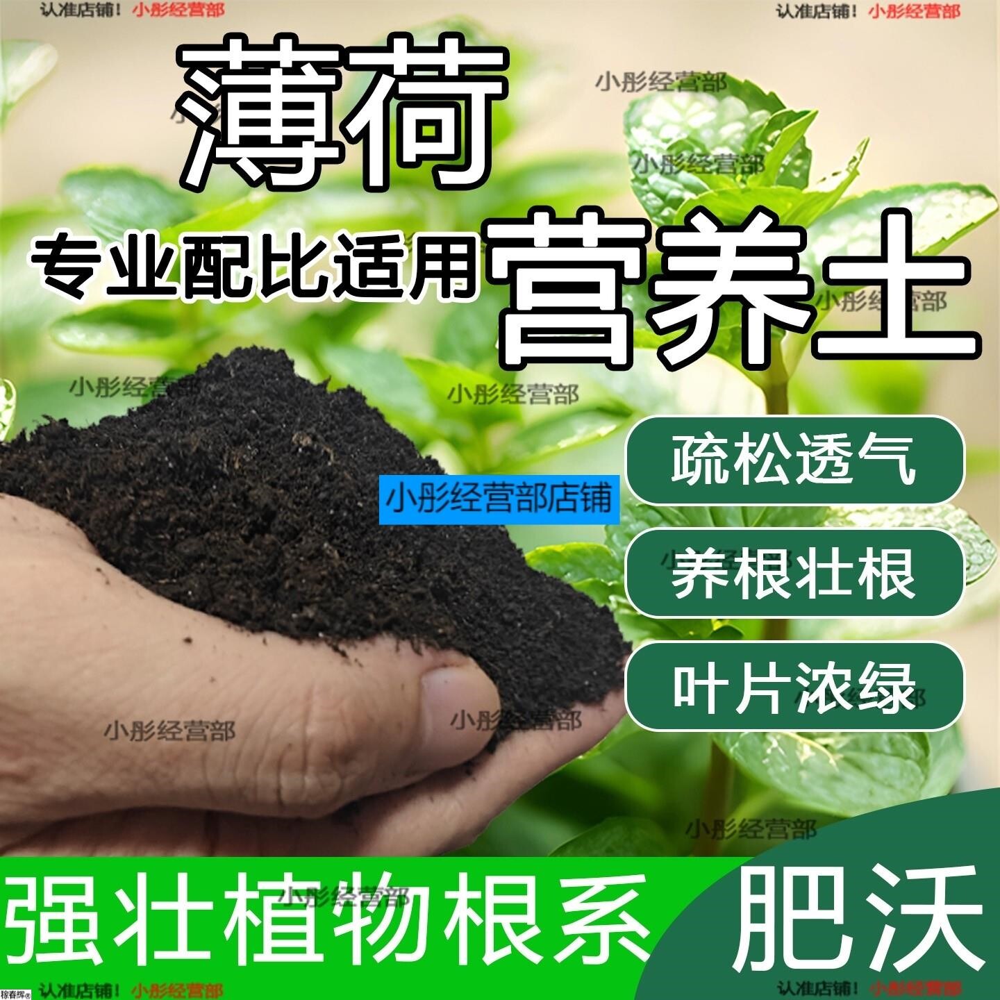 薄荷专用土薄荷土盆栽种植土养花营养土通用种花土壤绿植有机肥料