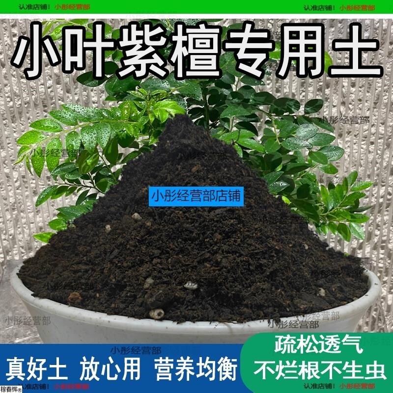小叶紫檀专用土盆栽配方肥料小叶紫檀营养土透气泥土壤养花种植土
