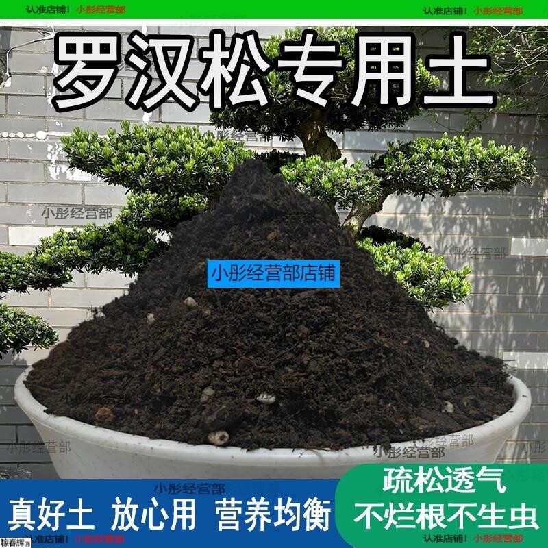 罗汉松专用土罗汉松专用肥料营养土盆栽土养花种花土种植土壤通用