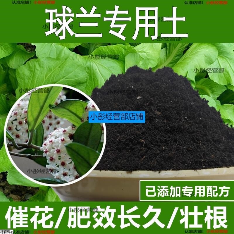 球兰专用土球兰专用营养土酸性土种植土通用土有机土肥料养花种花