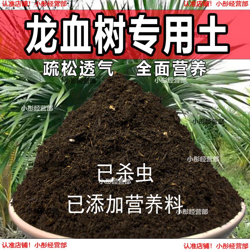 栽种龙血树专用土壤肥料通用型混合专用通用花土蓬松泥土无菌土壤