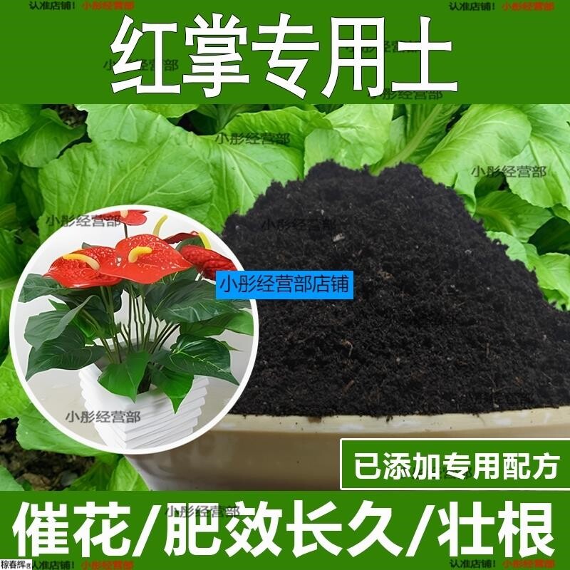 红掌专用土红掌专用营养土酸性土种植土通用土有机土肥料养花种花