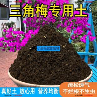 三角梅专用营养土家庭园艺土盆栽通用泥土种植花卉绿植培养土肥料