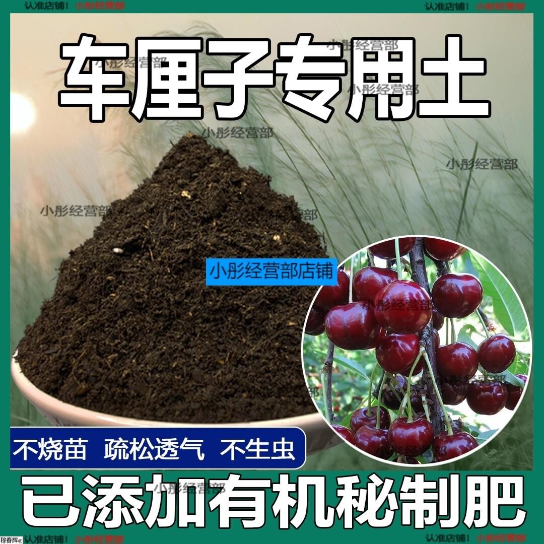 车厘子专用土樱桃树专用营养土盆栽土养花种花土通用种植土壤肥料