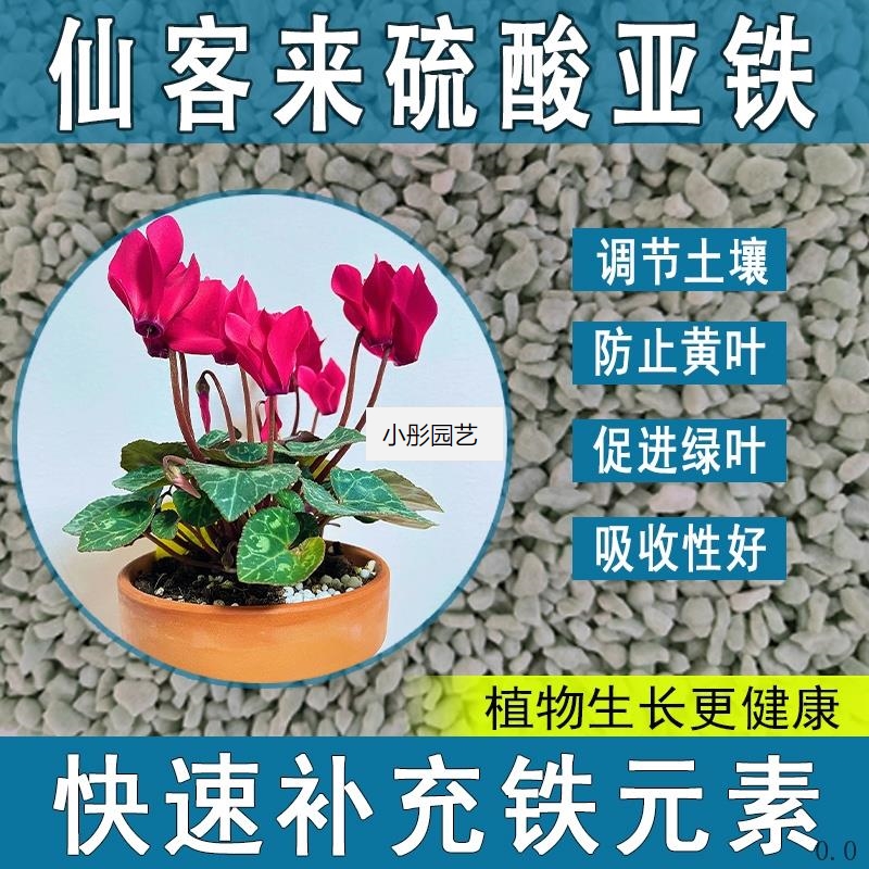 仙客来硫酸亚铁花肥料养花绿植通用调节生长喜酸植物专用肥促生根