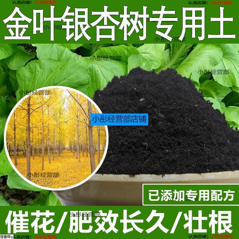 金叶银杏树专用土金叶银杏树专用营养土酸性土种植土通用土有机土