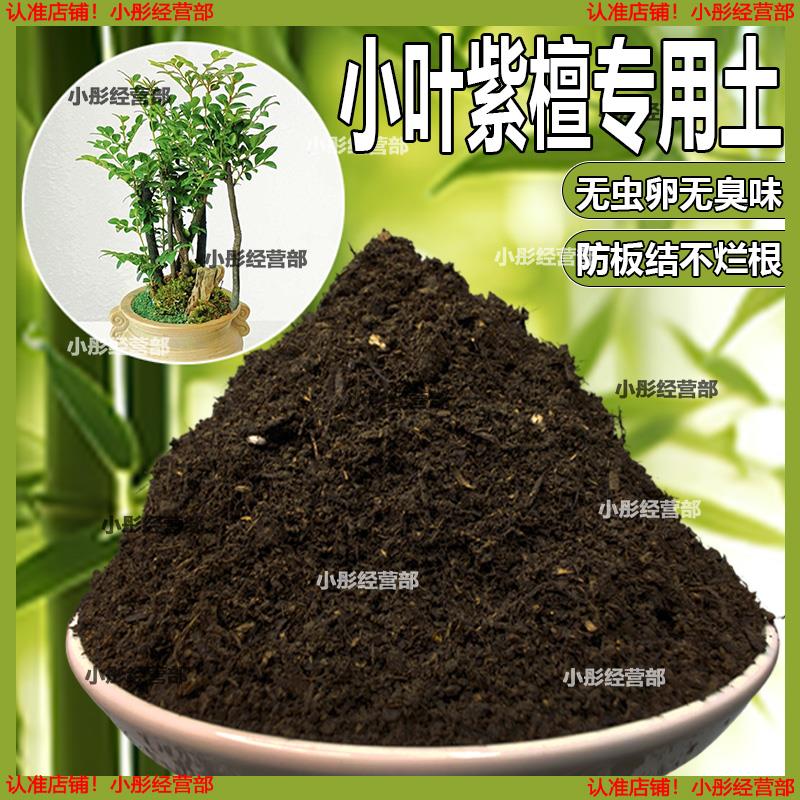 小叶紫檀专用土盆栽配方肥料小叶紫檀营养土透气泥土壤养花种植土