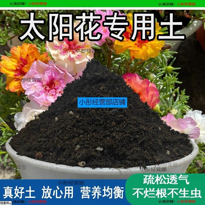 太阳花专用土花卉种植土壤太阳花营养土养花种花肥料盆栽有机花土
