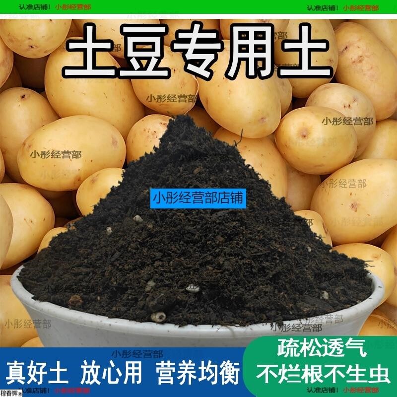土豆专用土家用种菜种植肥料土有机土壤阳台蔬菜盆栽土土豆营养土