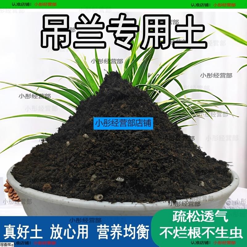 吊兰专用土肥料吊兰营养土室内绿植盆栽土壤天然种花土花卉种植土