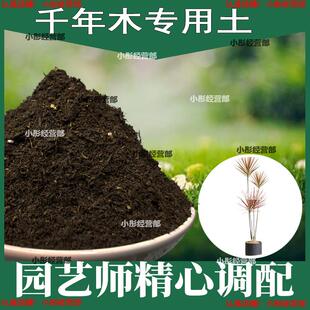 千年木专用土肥料盆栽土壤园艺养花育苗花土阳台千年木营养土蓬松
