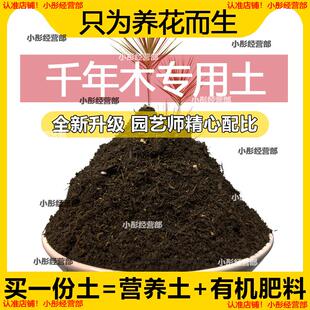 千年木专用土肥料盆栽土壤园艺养花育苗花土阳台千年木营养土蓬松