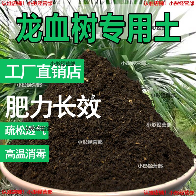 栽种龙血树专用土壤肥料通用型混合专用通用花土蓬松泥土无菌土壤