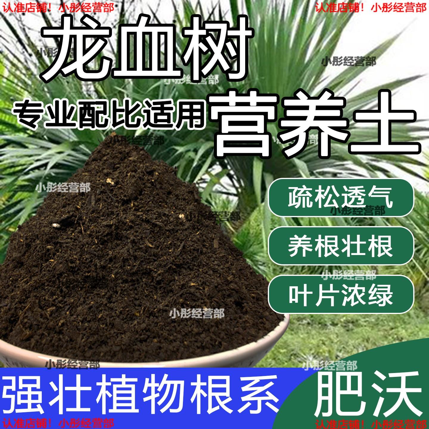 栽种龙血树专用土壤肥料通用型混合专用通用花土蓬松泥土无菌土壤