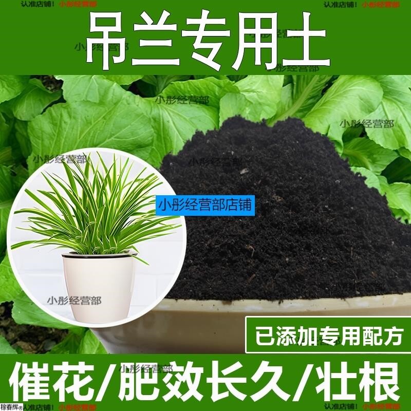 吊兰专用土吊兰专用营养土酸性土种植土通用土有机土肥料养花种花