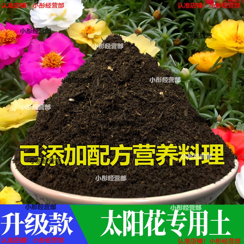太阳花专用土花卉种植土壤太阳花营养土养花种花肥料盆栽有机花土