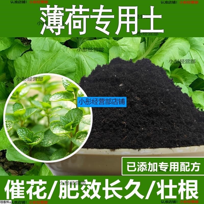 薄荷专用土薄荷专用营养土酸性土种植土通用土有机土肥料养花种花