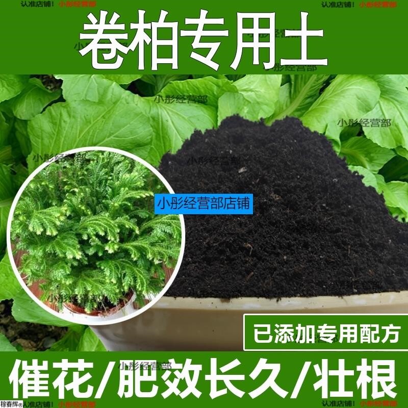 卷柏专用土卷柏专用营养土酸性土种植土通用土有机土肥料养花种花