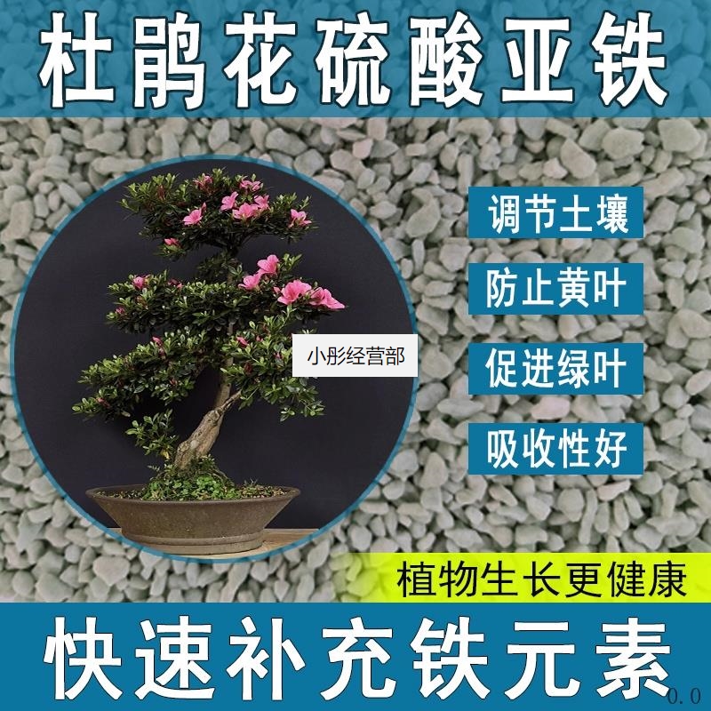 杜鹃花硫酸亚铁果树肥水溶肥喜酸植物改良土壤调节酸碱铁肥促生根