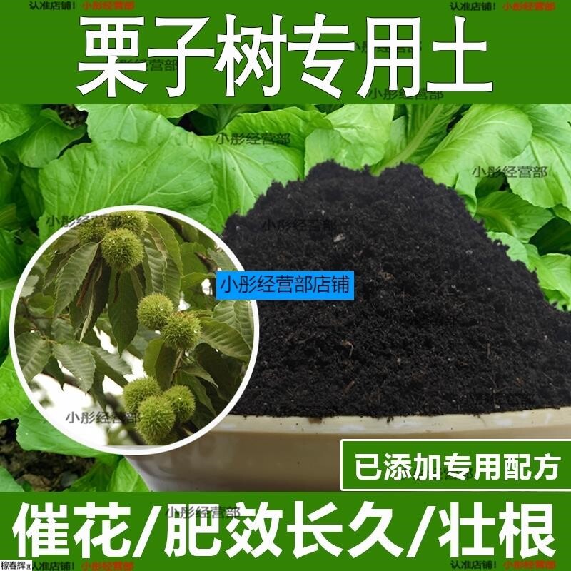 栗子树专用土栗子树专用营养土酸性土种植土通用土有机土肥料土壤