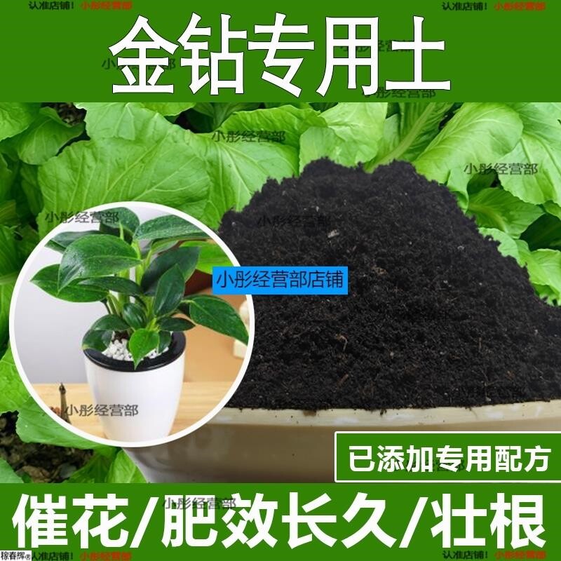 金钻专用土金钻专用营养土酸性土种植土通用土有机土肥料养花种花