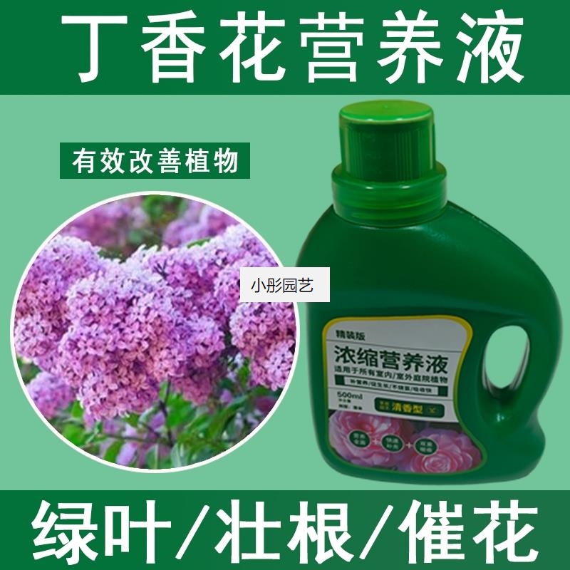 丁香花营养液通用型丁香花专用营养液花肥绿植水培植物肥料液体肥