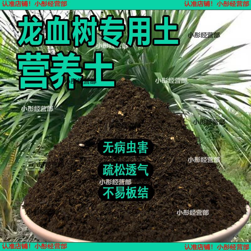 栽种龙血树专用土壤肥料通用型混合专用通用花土蓬松泥土无菌土壤