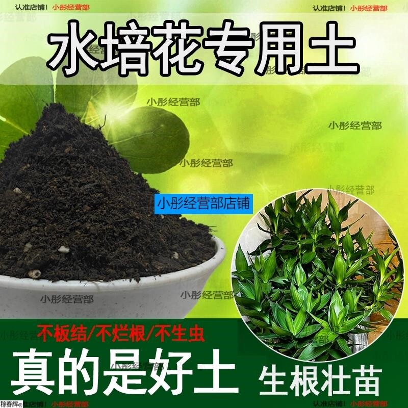 水培植物专用土盆栽土肥料养花泥土家庭阳透气种植水培植物营养土