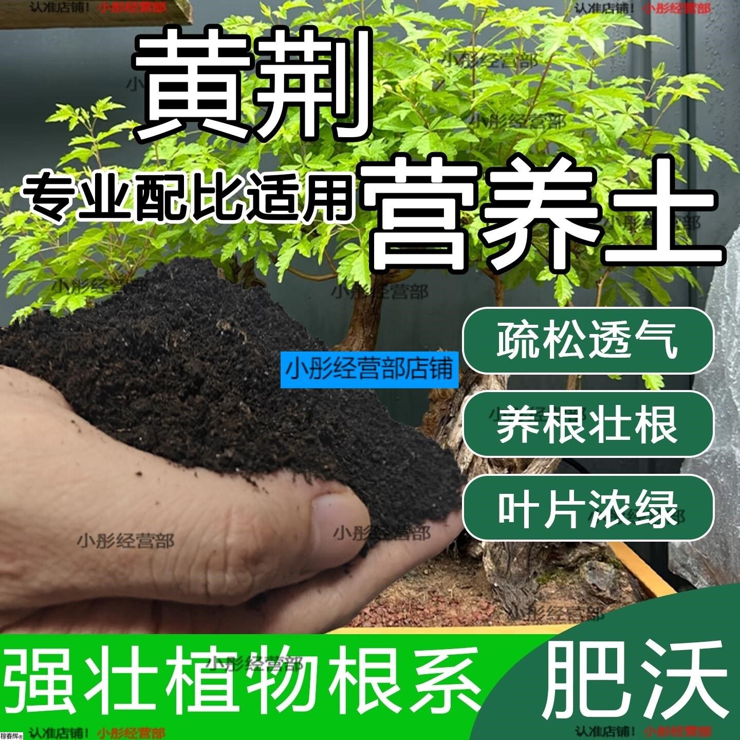 黄荆专用土盆栽阳台盆景种花养花黄荆营养土通用种植土壤有机肥料