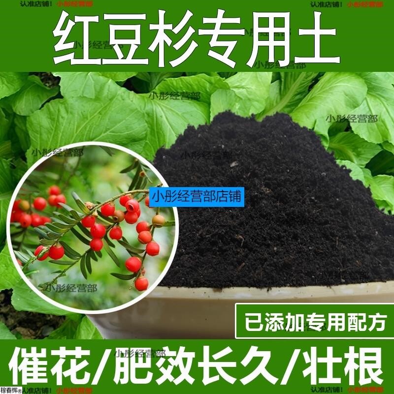 红豆杉专用土红豆杉专用营养土酸性土种植土通用土有机土肥料土壤