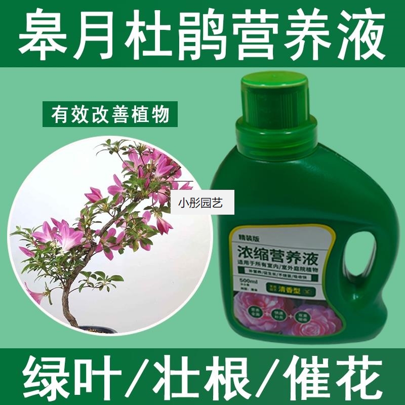 皋月杜鹃营养液通用型皋月杜鹃专用营养液花肥绿植水培植物肥料