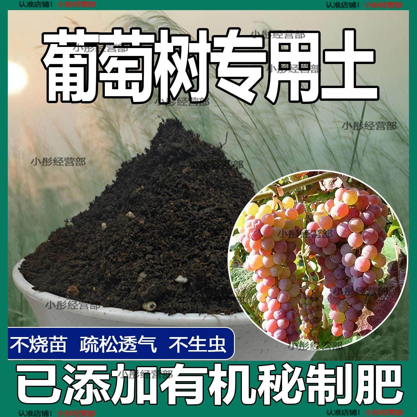葡萄树专用土肥料室内种植育苗葡萄树种树营养土有机土土壤栽培土