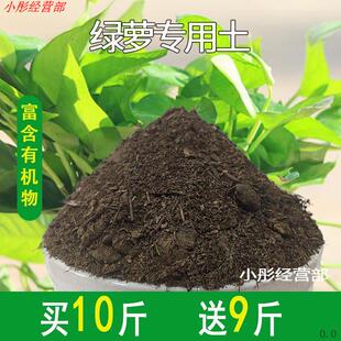 绿萝专用土绿萝专用营养土养花通用型家用种植土绿植有机土壤肥料