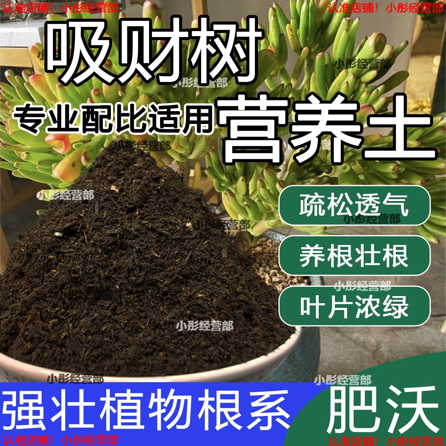 吸财树专用土盆栽绿植有机肥营养土种花养花泥土吸财树土壤种植土