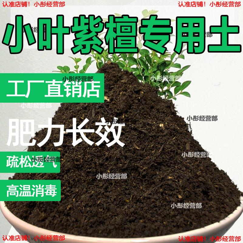 小叶紫檀专用土盆栽配方肥料小叶紫檀营养土透气泥土壤养花种植土