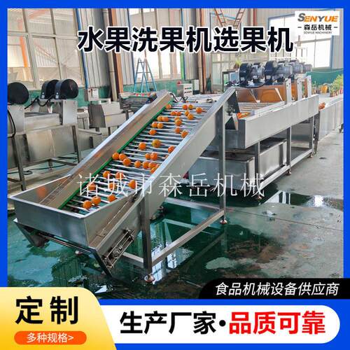 沃柑洗果机脐橙清洗选果机砂糖橘带叶果清洗保鲜设备陈皮柑清洗机