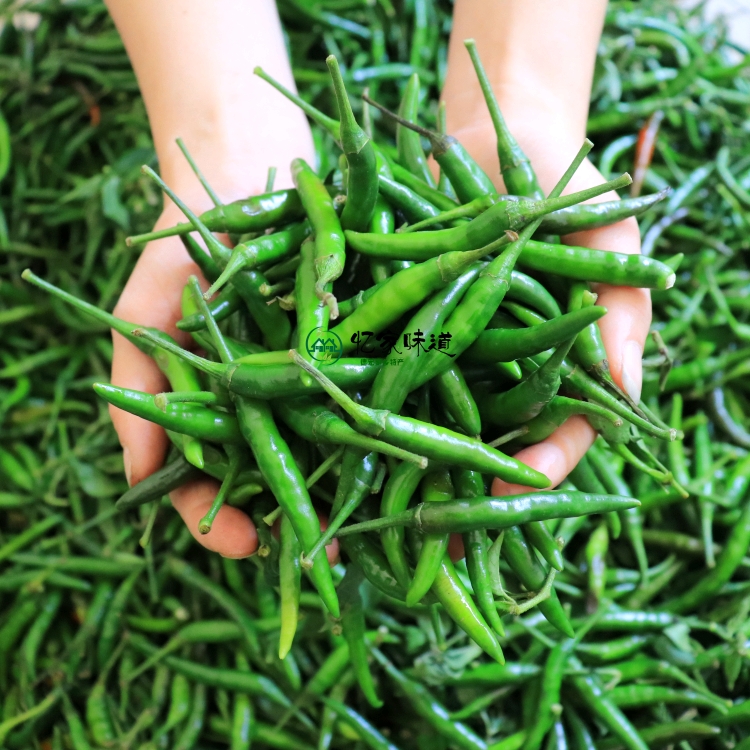 5斤青红小米辣椒青尖椒青小米椒新鲜朝天椒绿色生辣椒现货