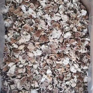 云南德宏白参菌干货农家自晒特产裂褶菌白花白参沙参树花