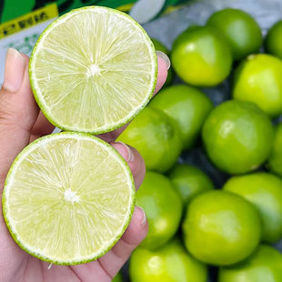 云南新鲜皮薄汁多青柠檬香水小柠檬塔希提酸爽无籽缅甸泰国风味