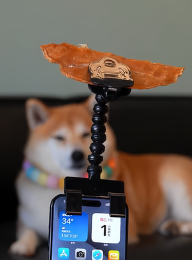 宠物看镜头拍照神器狗狗猫咪肉干