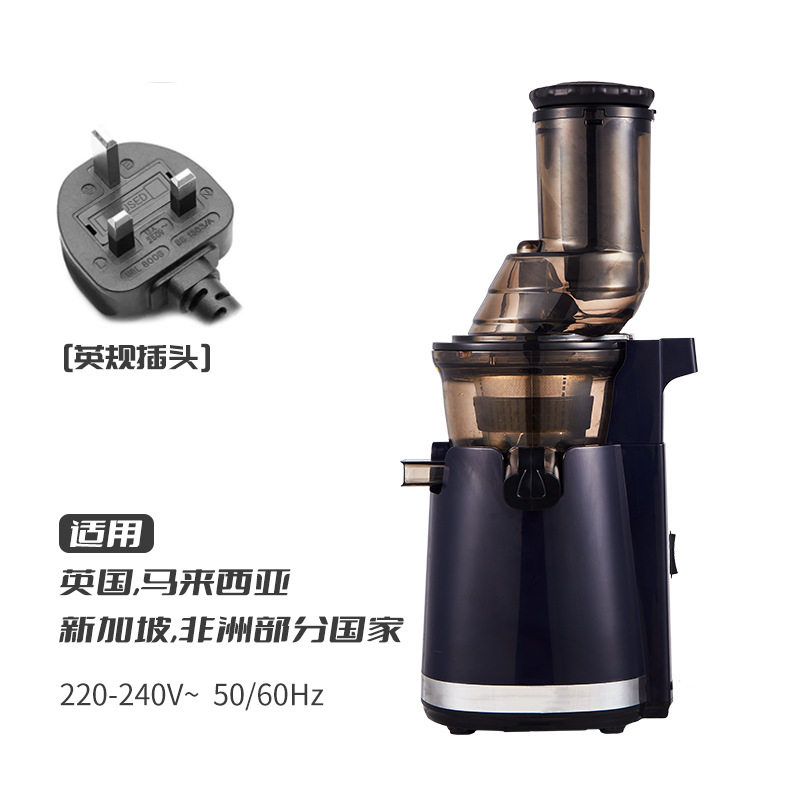 韩式原汁机榨汁机家用渣汁分离水果小型果蔬便携式鲜纯炸果汁机杯